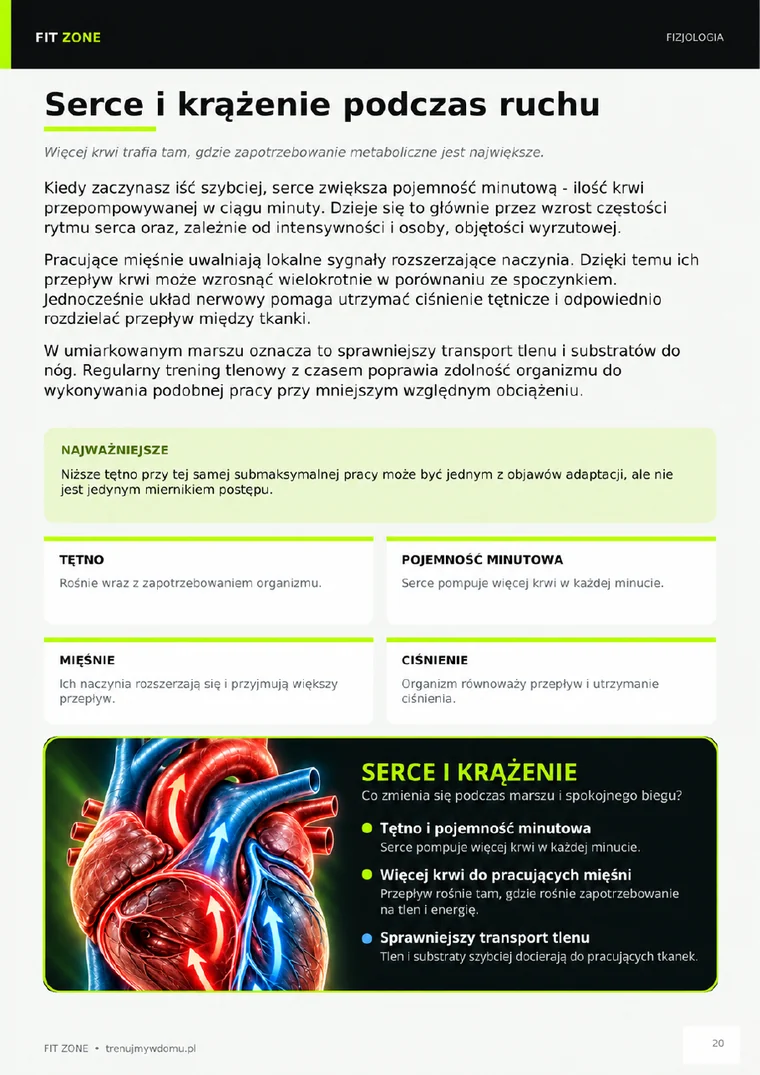 Fragment programu Fit Zone – serce i krążenie